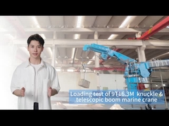 9T16.3M Судовой кран для эффективной обработки грузов